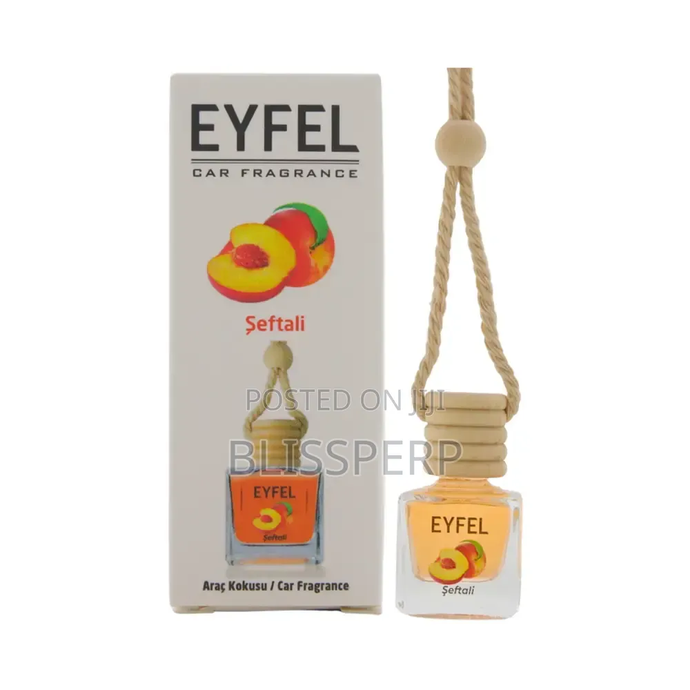 Eyfel Car Diffuser