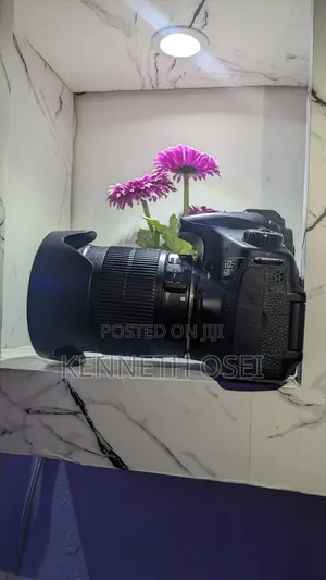 Canon 60D and Zhiyun Gimbal