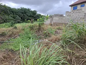 Half Plot of Land for Sale in Sokoban Ampabame