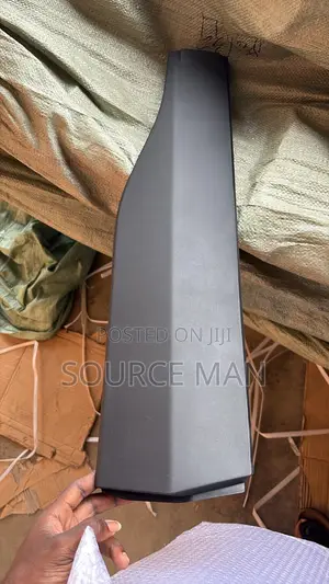 Toyota Rav4 2019 2020 2021 2022 2023 2024 Door Moulding