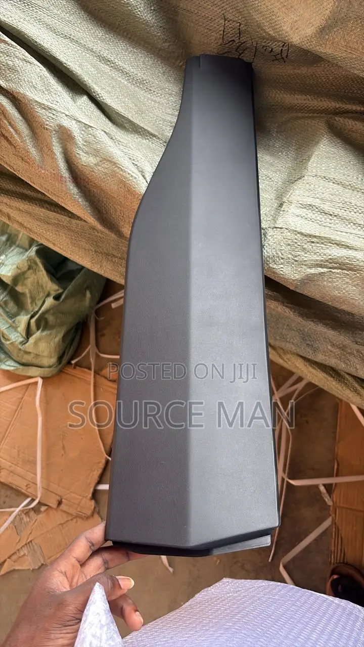 Toyota Rav4 2019 2020 2021 2022 2023 2024 Door Moulding