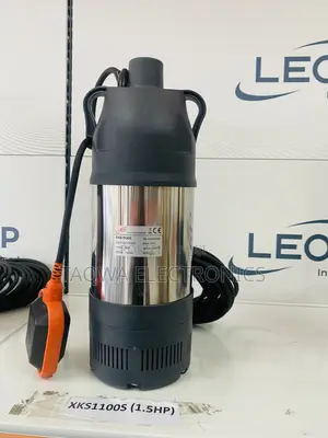 Rust-Free Leo 1.5hp Garden Submersible Pump