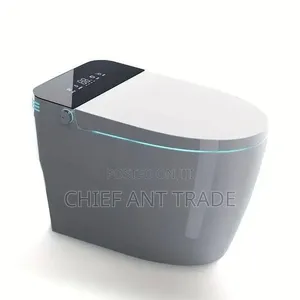Digital Smart Toilet Seat Wc Europe Standard. Water Closet