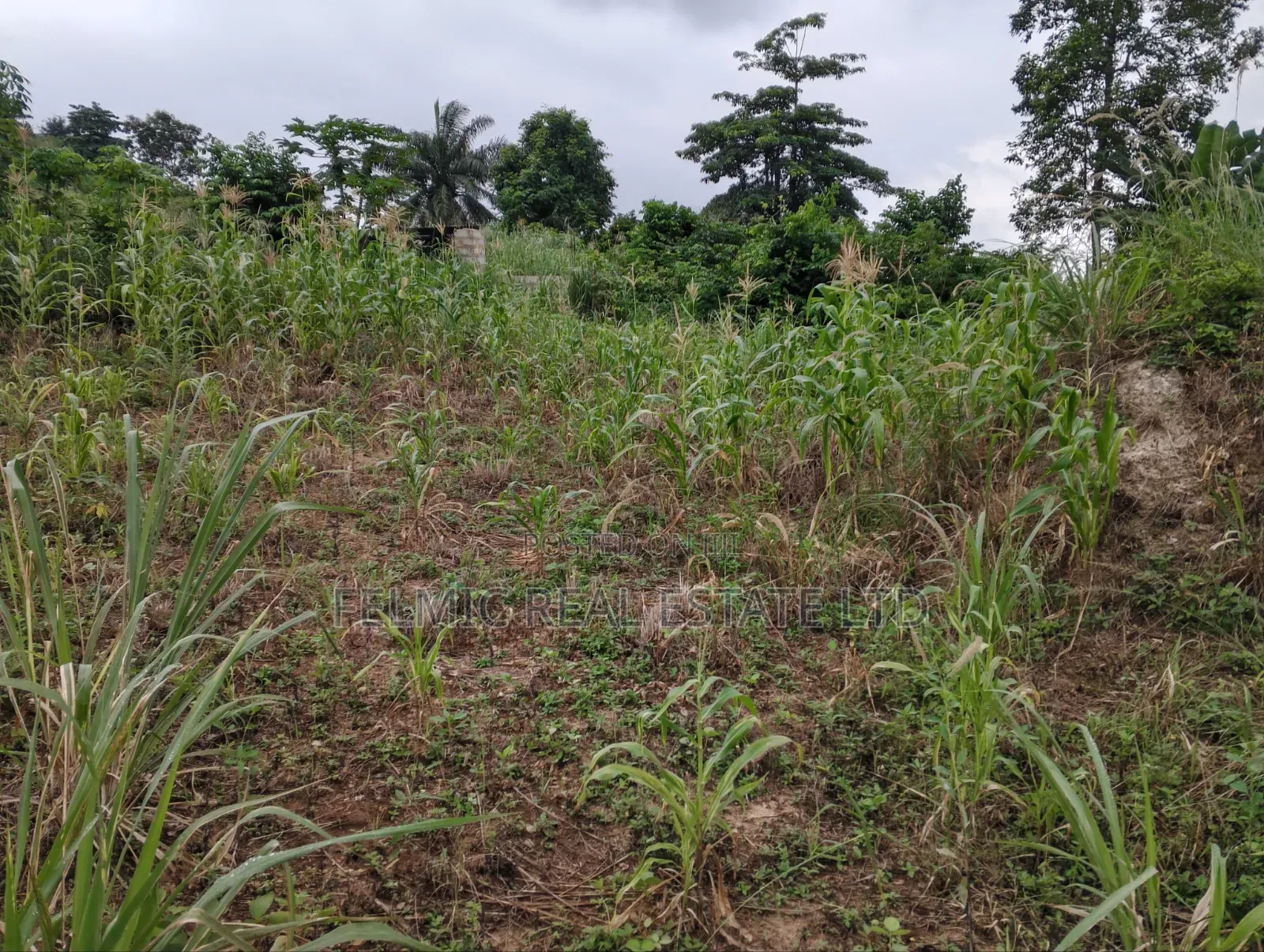 1 Plot of Land at Obom for Sale