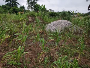 1 Plot of Land at Obom for Sale