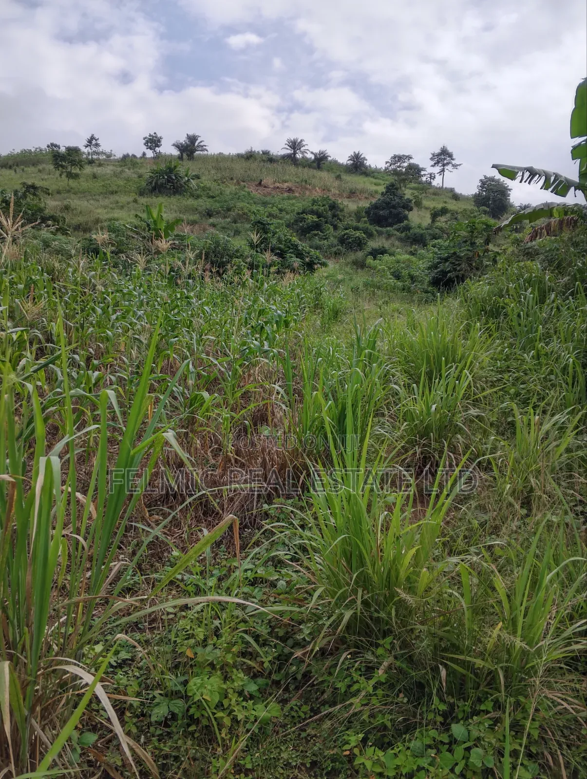 1 Plot of Land at Obom for Sale