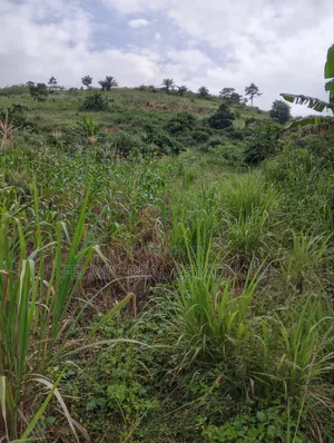 1 Plot of Land at Obom for Sale