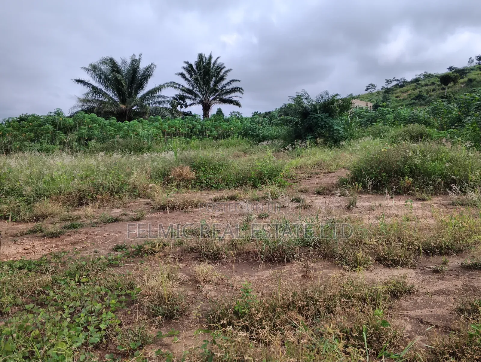 1 Plot of Land at Obom for Sale