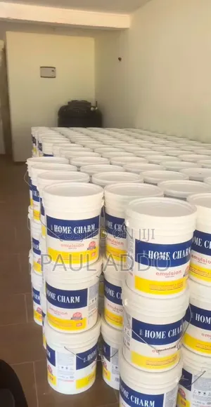 Home Chram 20L Paint