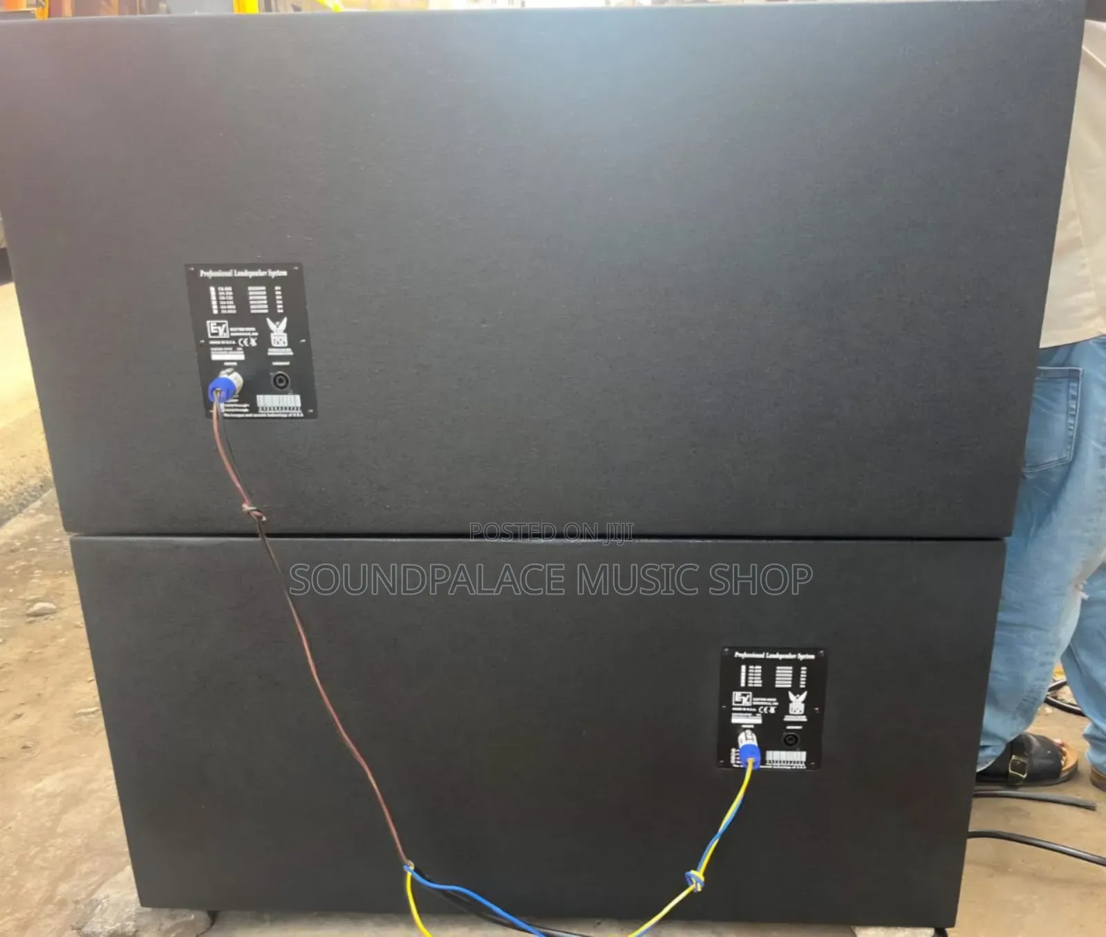 Electro-Voice(EV) Professional Double Bass Pair of Speakers