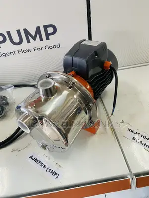 Leo Pure Stainless 1hp Electric Jet Pump