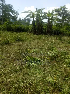 Four (4) Plots of Land for Sale
