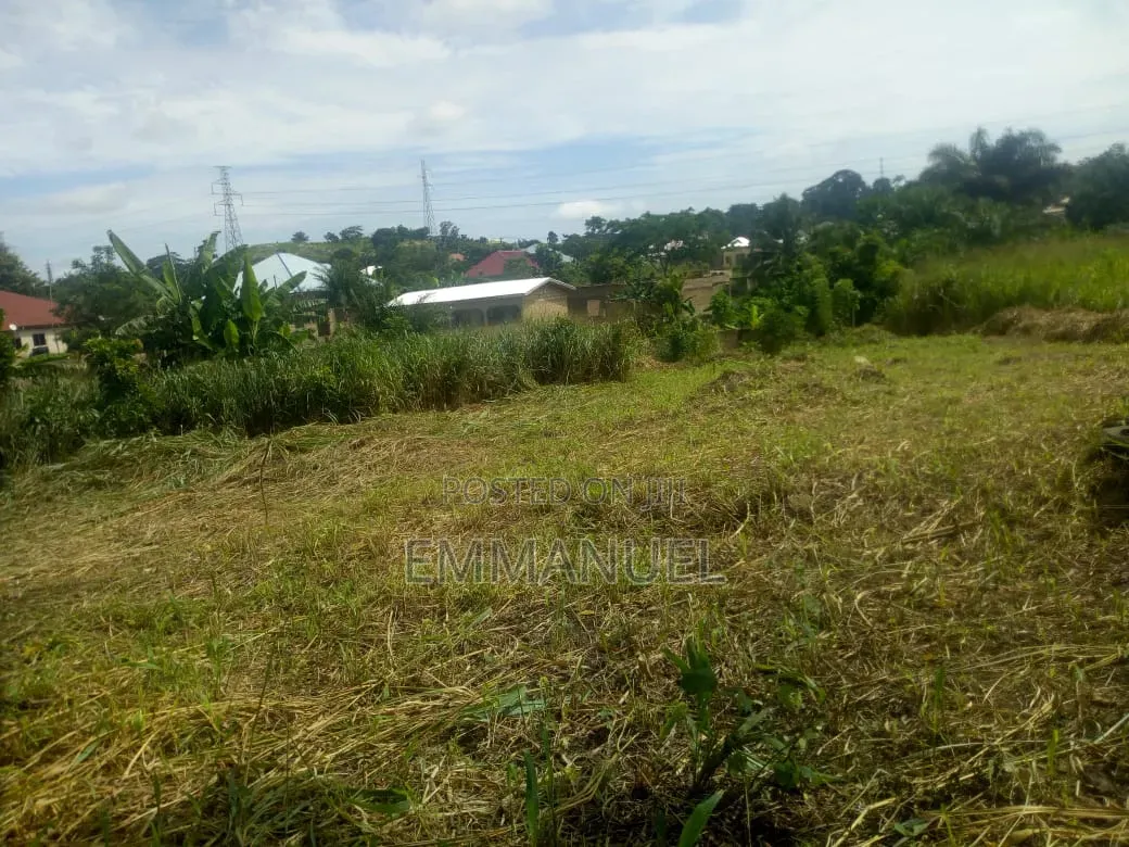 Four (4) Plots of Land for Sale