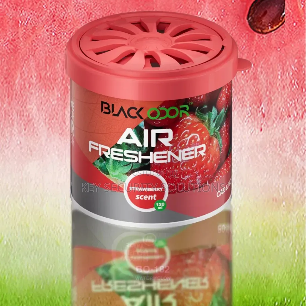 Car Fragrance Air Freshener