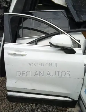 HYUNDAI SANTA FE 2022 Right Front Door