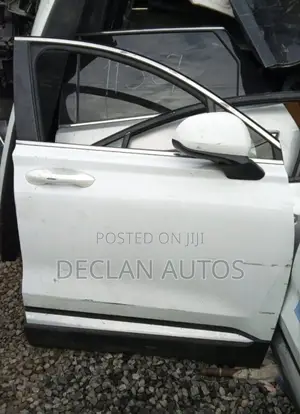 HYUNDAI SANTA FE 2022 Right Front Door