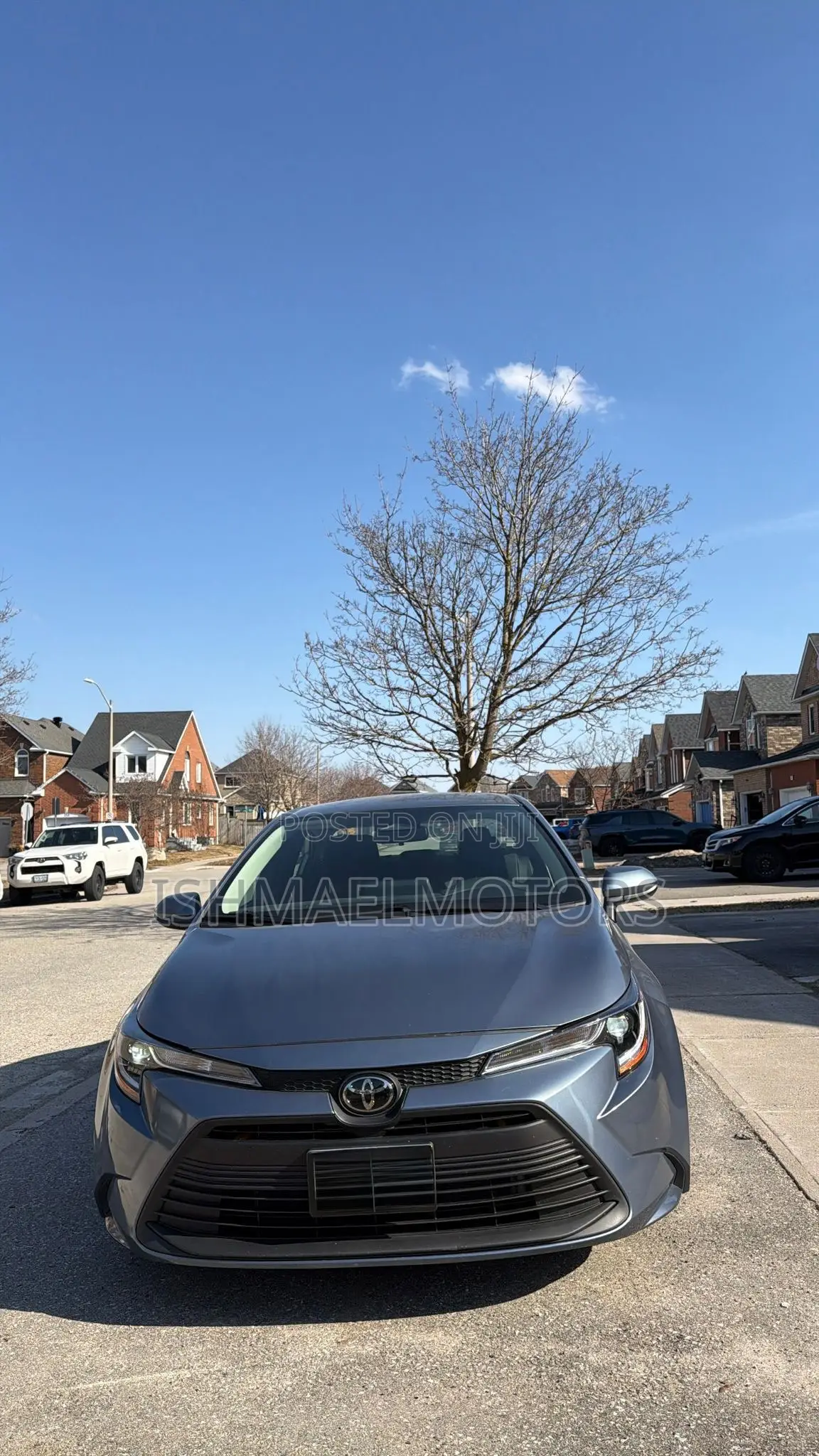Toyota Corolla LE 2024 Blue