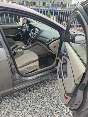 Ford Focus 2010 Gray