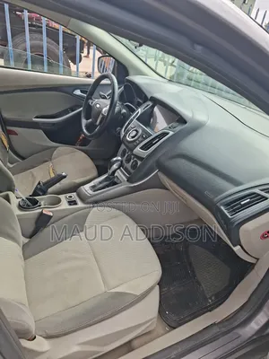 Ford Focus 2010 Gray