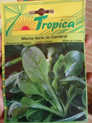 Lamb's Lettuce/ Cornsalad Seeds
