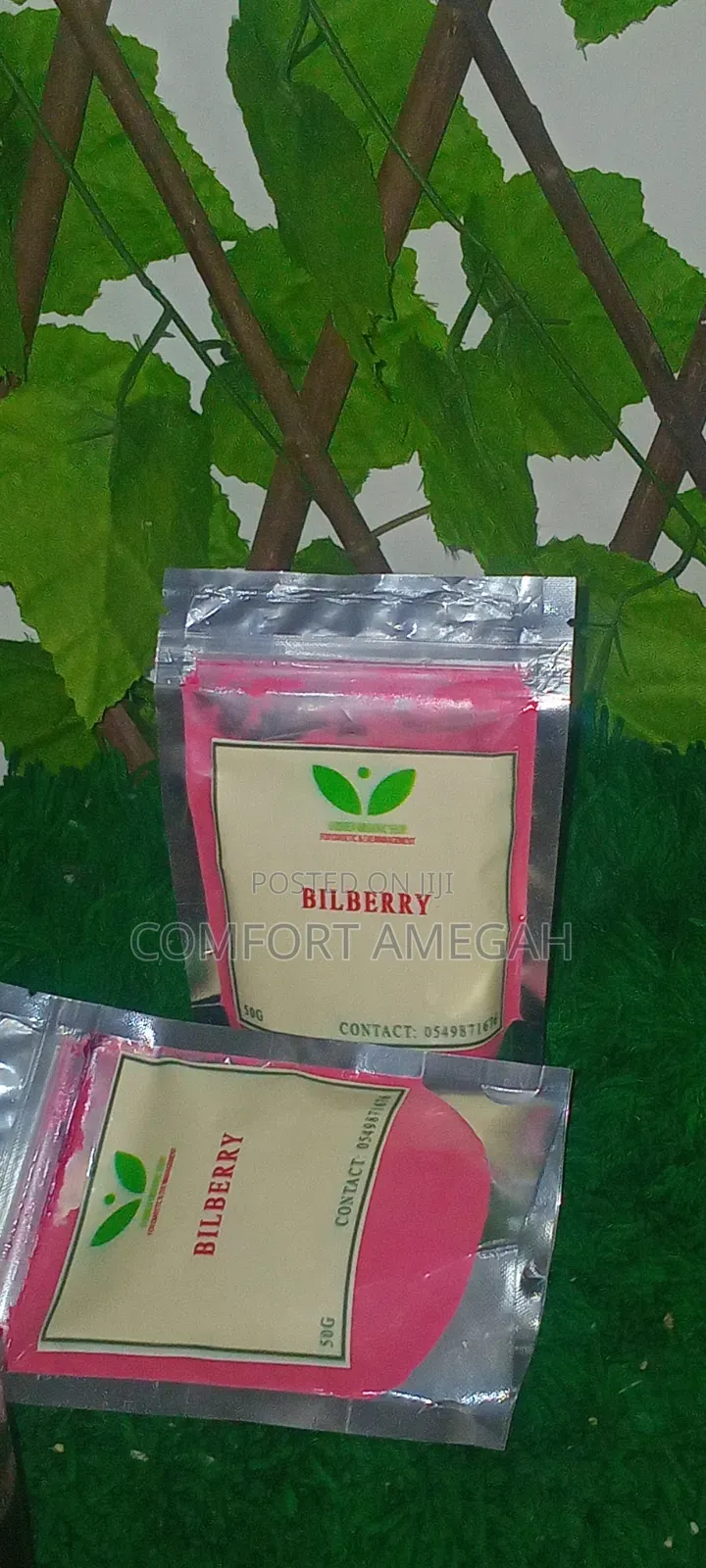 Bilberry Powder