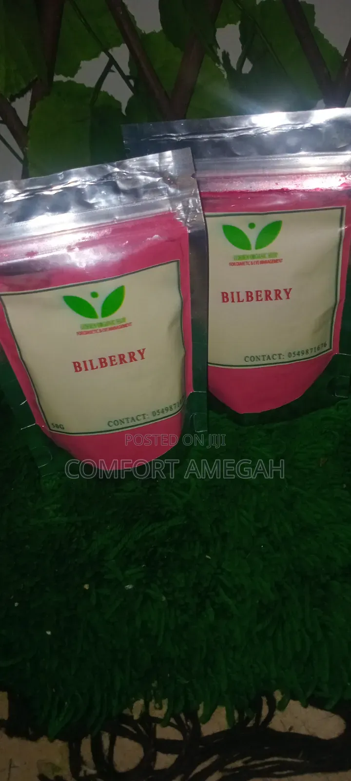 Bilberry Powder