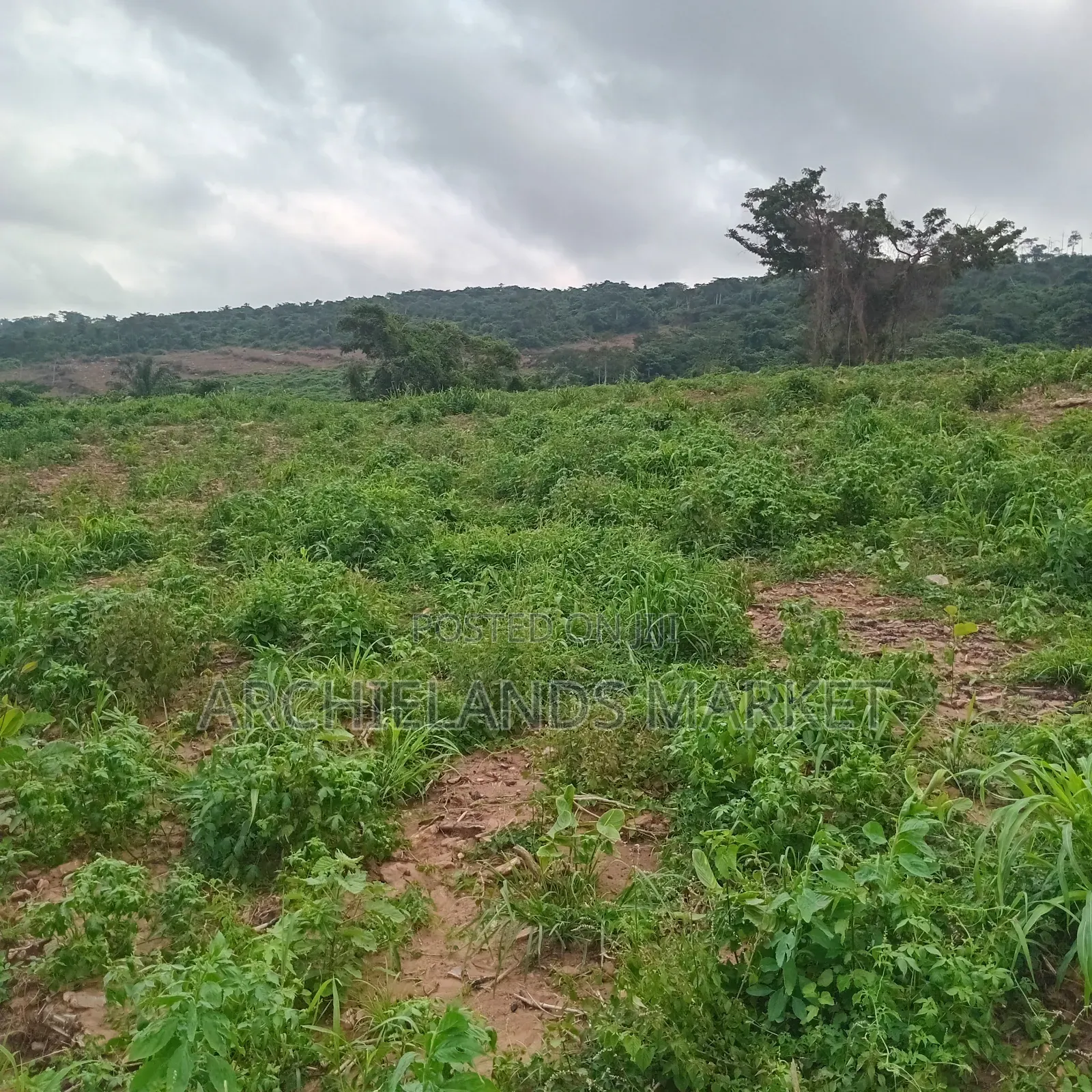 Available Land Aburi Green Hills
