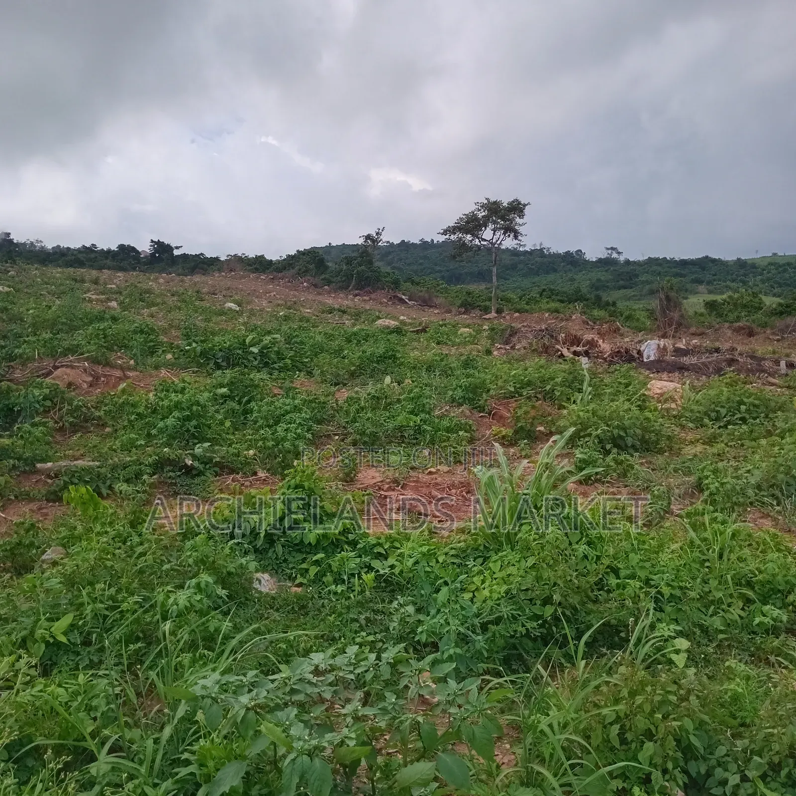 Available Land Aburi Green Hills