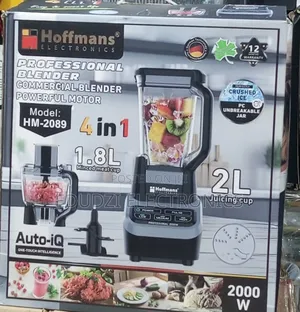 Professional 4 in 1 Blender