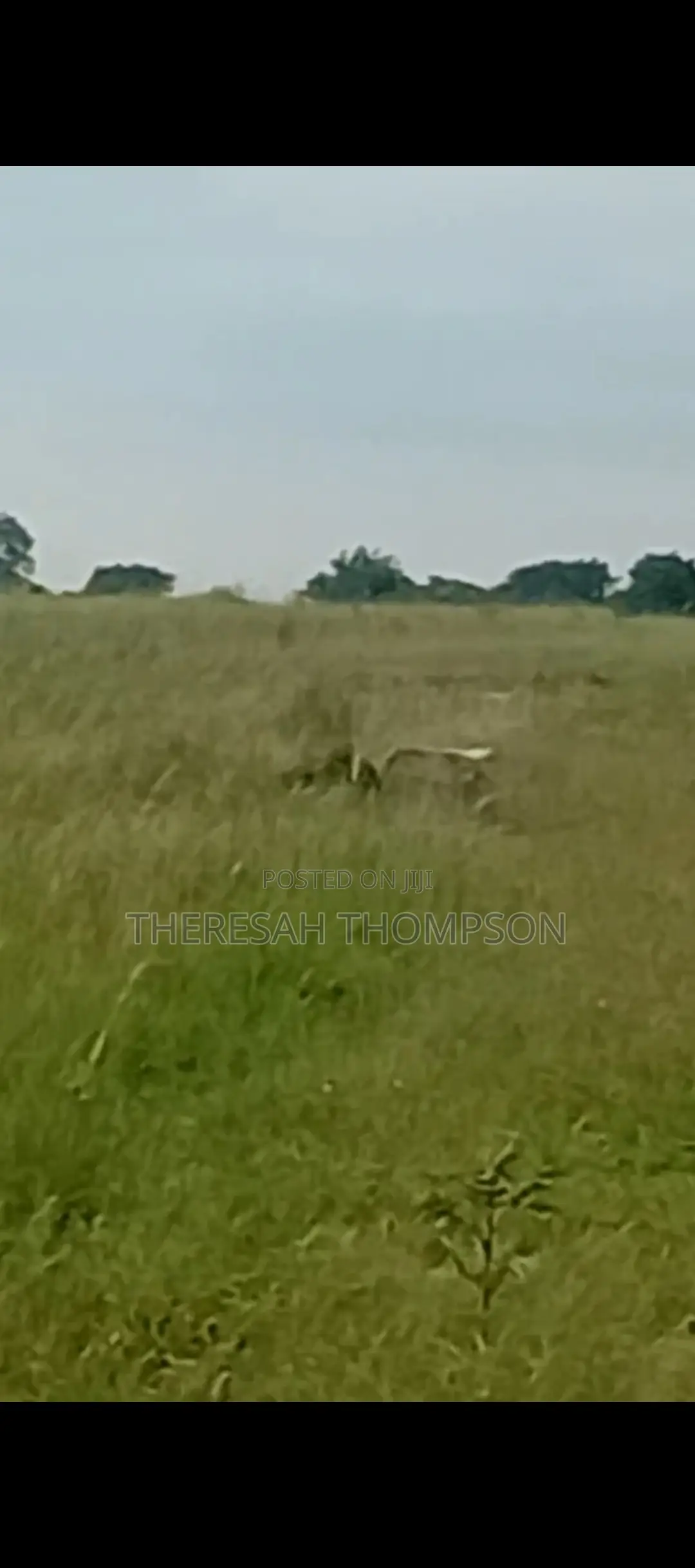 Estate Land for Sale at Tsopoli