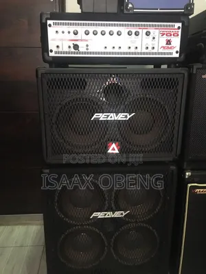 Peavy Combo