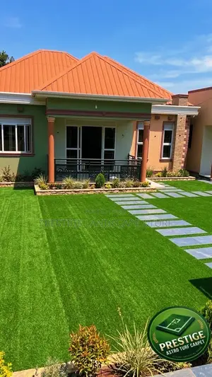 Astro Turf Carpet