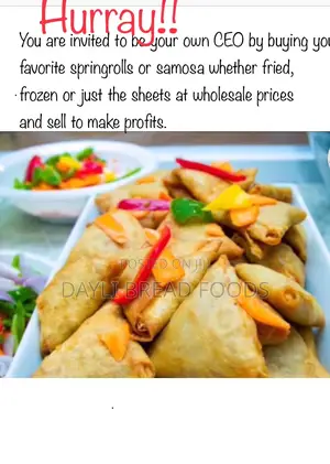 Spring Roll/Samosa Wholesale Business