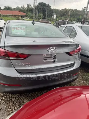 Hyundai Elantra 2017 Gray