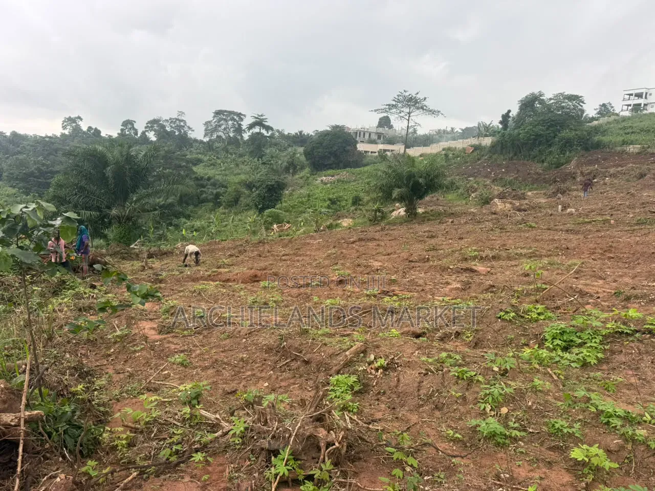 Konkonuru Land for Sale