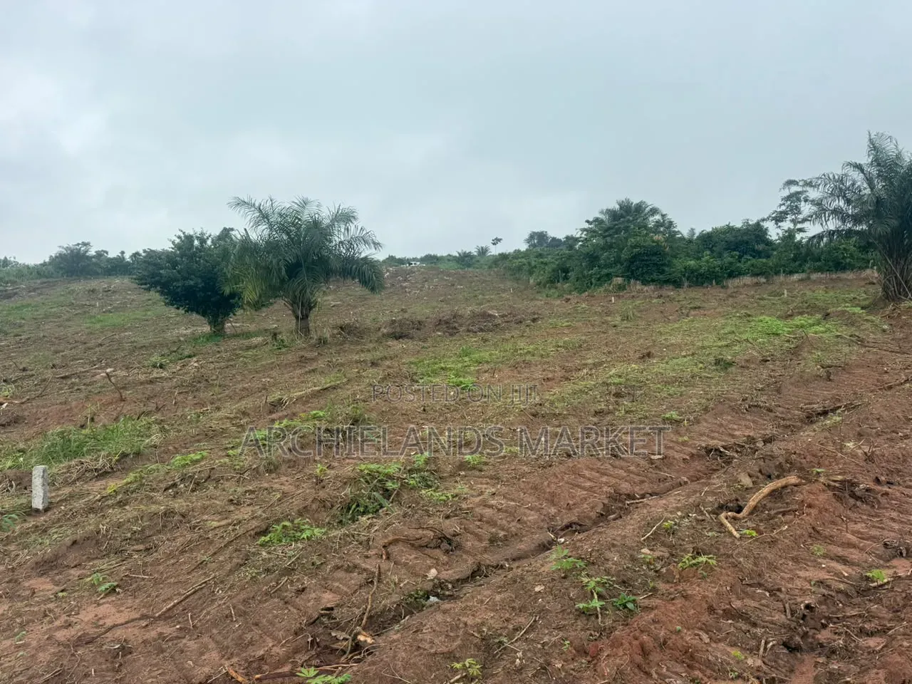Konkonuru Land for Sale