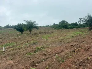 Konkonuru Land for Sale