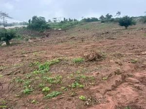 Konkonuru Land for Sale