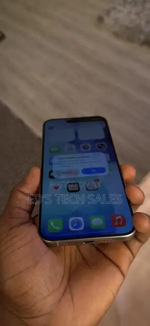 Apple iPhone 15 Pro Max 256 GB Silver