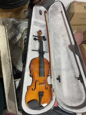 Full-Size 4/4 Wooden Violin Outfit With Bow and Carry Case