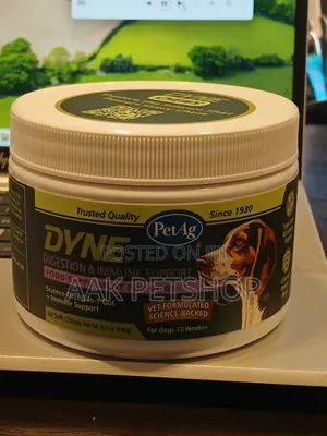Dyne Disestion Immune Support