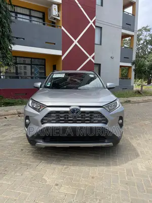 Toyota RAV4 2020 Gray