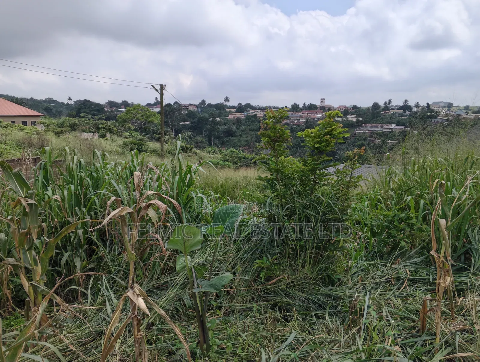 3 Plots of Land at Aburi Tutu for Sale