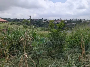3 Plots of Land at Aburi Tutu for Sale