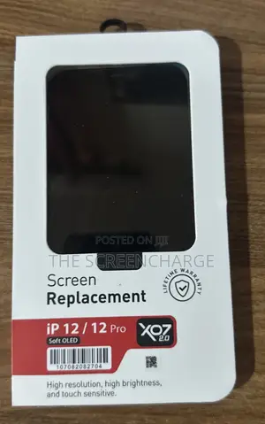 iPhone 12/12 Pro iCloud Screen