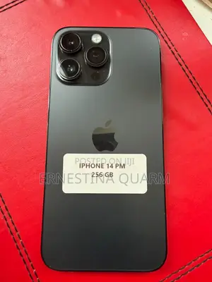 Apple iPhone 14 Pro Max 256 GB Gray