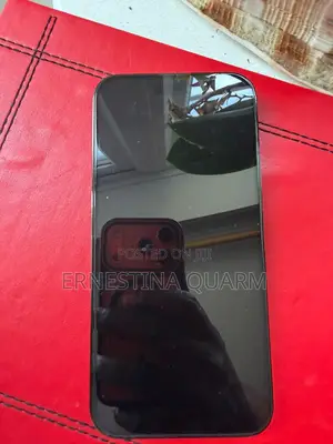 Apple iPhone 14 Pro Max 256 GB Gray