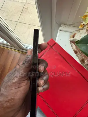 Apple iPhone 14 Pro Max 256 GB Gray