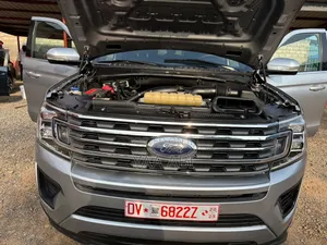 Ford Expedition XLT 4x4 2020 Silver