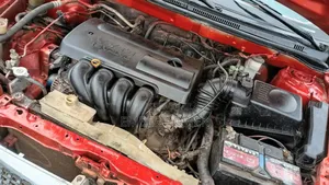 Toyota Corolla 2010 Red